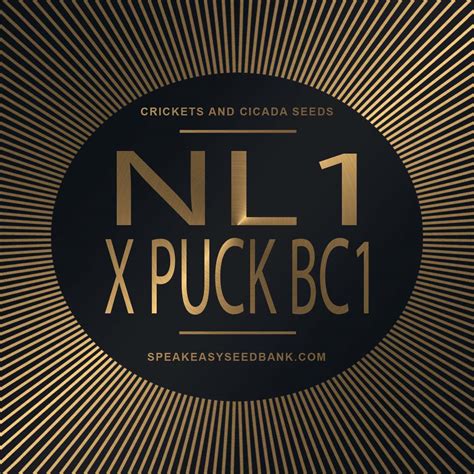 nl x puck backcross 1  English: Illustration of a hockey puck, with a X for use in